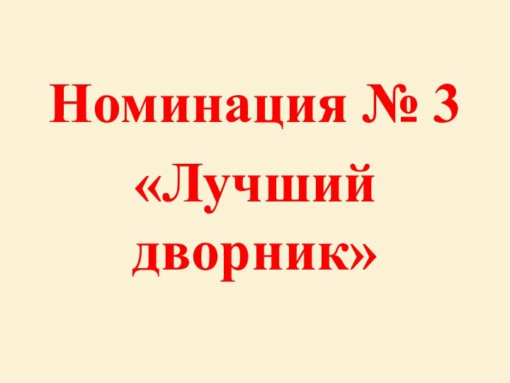 Номинация № 3 «Лучший дворник»