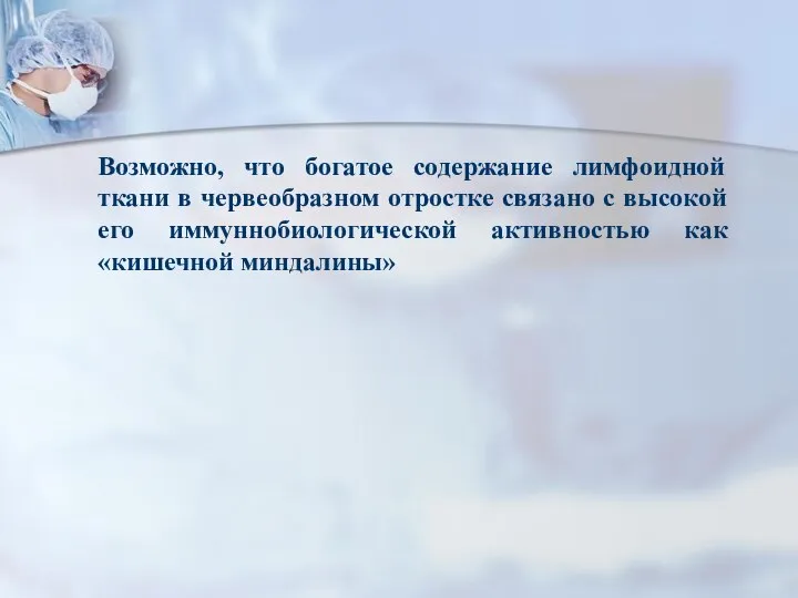 Возможно, что богатое содержание лимфоидной ткани в червеобразном отростке связано с