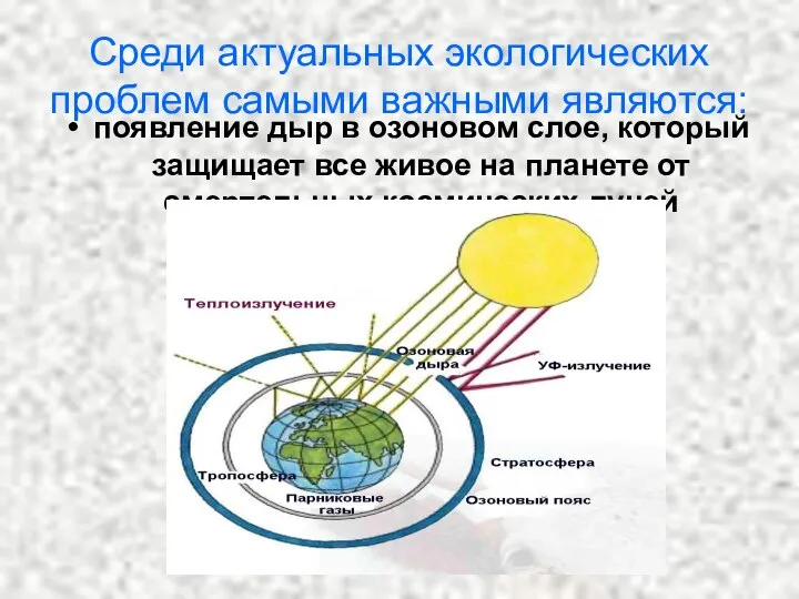 Среди актуальных экологических проблем самыми важными являются: появление дыр в озоновом