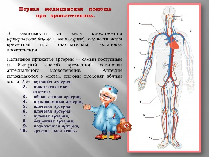 Первая медицинская помощь при кровотечениях. В зависимости от вида кровотечения (артериальное,