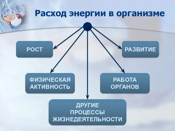 Расход энергии в организме ФИЗИЧЕСКАЯ АКТИВНОСТЬ РАЗВИТИЕ ДРУГИЕ ПРОЦЕССЫ ЖИЗНЕДЕЯТЕЛЬНОСТИ РАБОТА ОРГАНОВ РОСТ