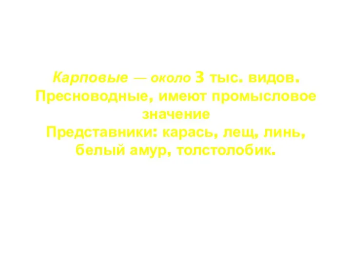 Карповые — около 3 тыс. видов. Пресноводные, имеют промысловое значение Представники: