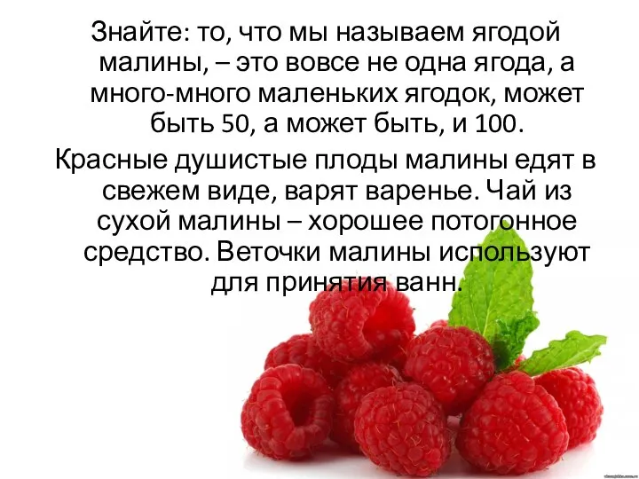 Знайте: то, что мы называем ягодой малины, – это вовсе не