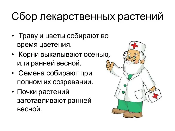 Сбор лекарственных растений Траву и цветы собирают во время цветения. Корни