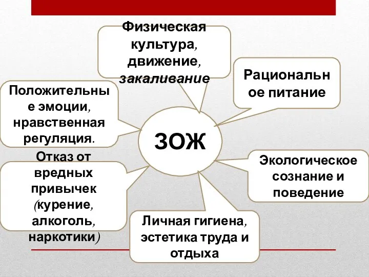 ЗОЖ Рациональное питание Экологическое сознание и поведение Личная гигиена, эстетика труда