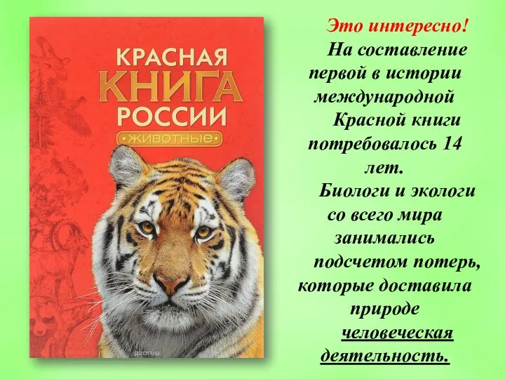 Это интересно! На составление первой в истории международной Красной книги потребовалось