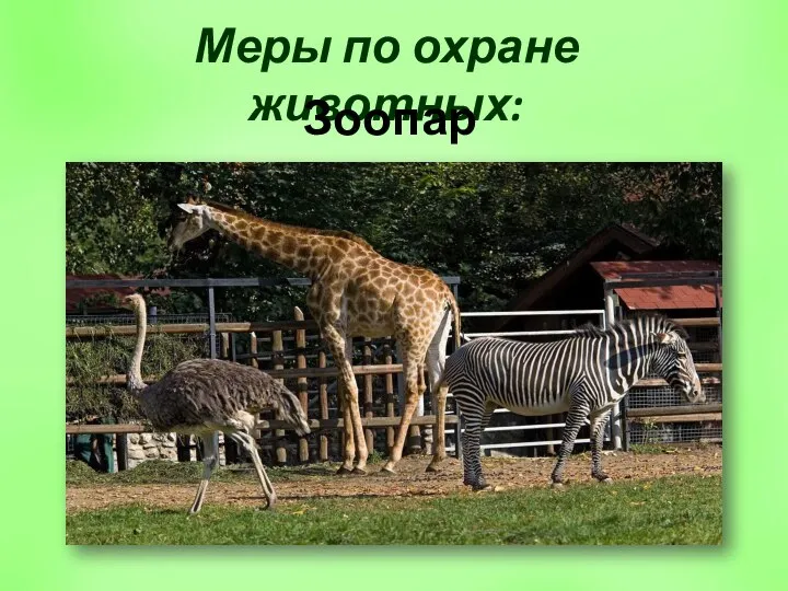 Меры по охране животных: Зоопарк