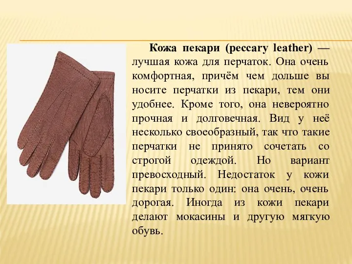 Кожа пекари (peccary leather) — лучшая кожа для перчаток. Она очень