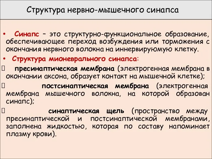 Структура нервно-мышечного синапса Синапс – это структурно-функциональное образование, обеспечивающее переход возбуждения