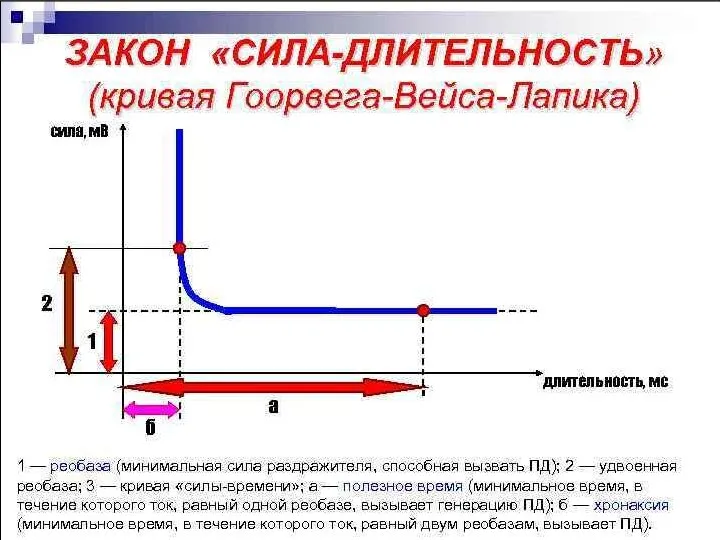 Закон «силы-длительности»