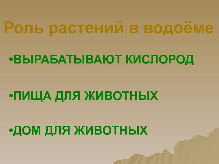 ВЫРАБАТЫВАЮТ КИСЛОРОД ПИЩА ДЛЯ ЖИВОТНЫХ ДОМ ДЛЯ ЖИВОТНЫХ Роль растений в водоёме