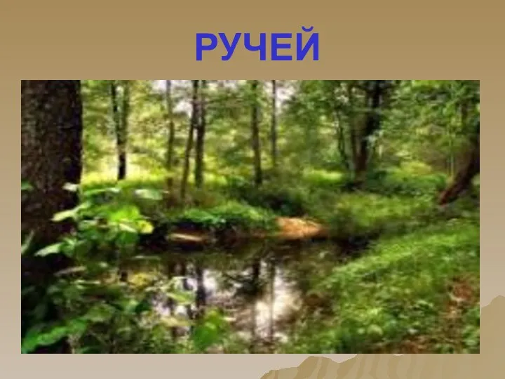 РУЧЕЙ