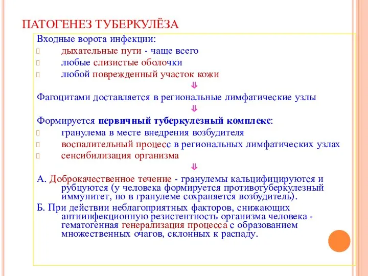 ПАТОГЕНЕЗ ТУБЕРКУЛЁЗА Входные ворота инфекции: дыхательные пути - чаще всего любые