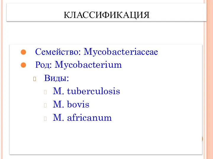 КЛАССИФИКАЦИЯ Семейство: Mycobacteriасеае Род: Mycobacterium Виды: M. tuberculosis M. bovis M. africanum