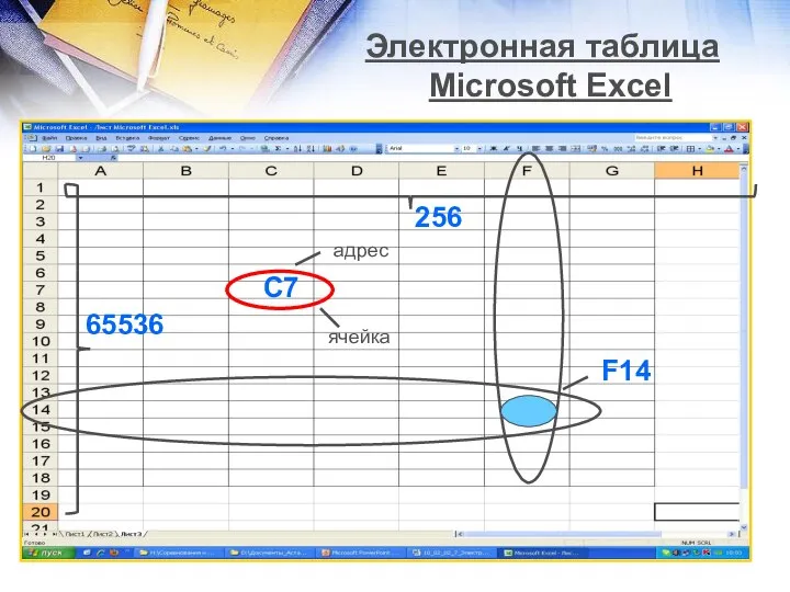 Электронная таблица Microsoft Excel ячейка С7 адрес F14 256 65536