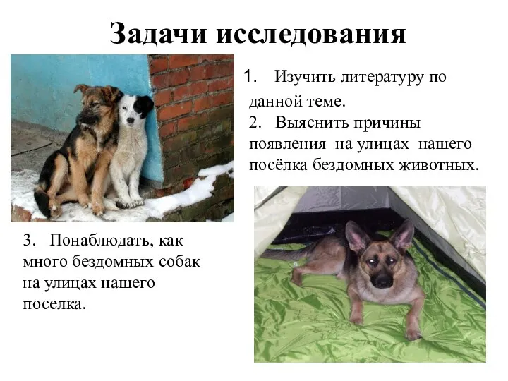 Задачи исследования Изучить литературу по данной теме. 2. Выяснить причины появления