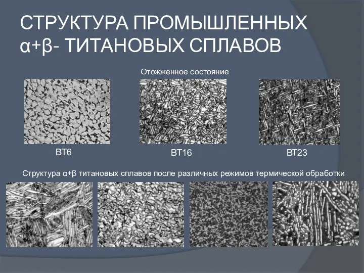 СТРУКТУРА ПРОМЫШЛЕННЫХ α+β- ТИТАНОВЫХ СПЛАВОВ ВТ6 ВТ16 ВТ23 Отожженное состояние Структура