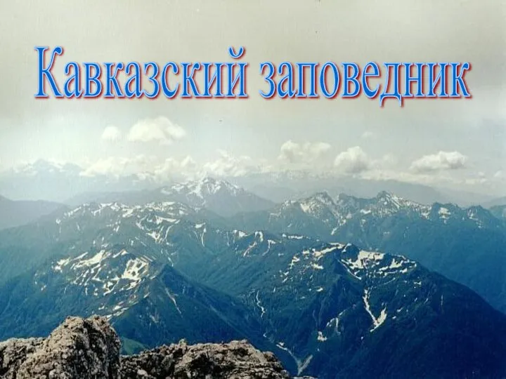 Кавказский заповедник