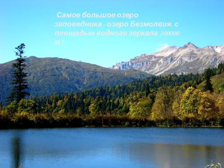 Самое большое озеро заповедника - озеро Безмолвия, с площадью водного зеркала 200000 м2.
