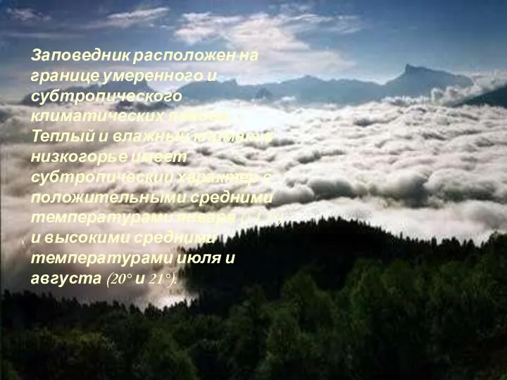 Заповедник расположен на границе умеренного и субтропического климатических поясов. Теплый и