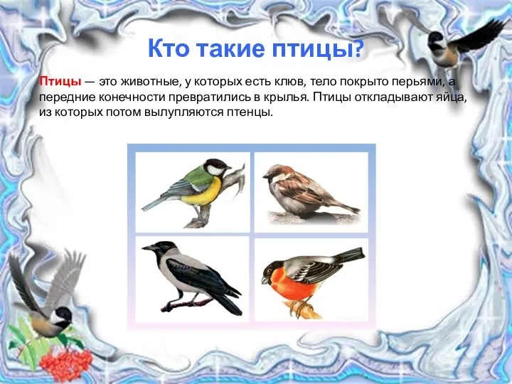 Кто такие птицы? Птицы — это животные, у которых есть клюв,