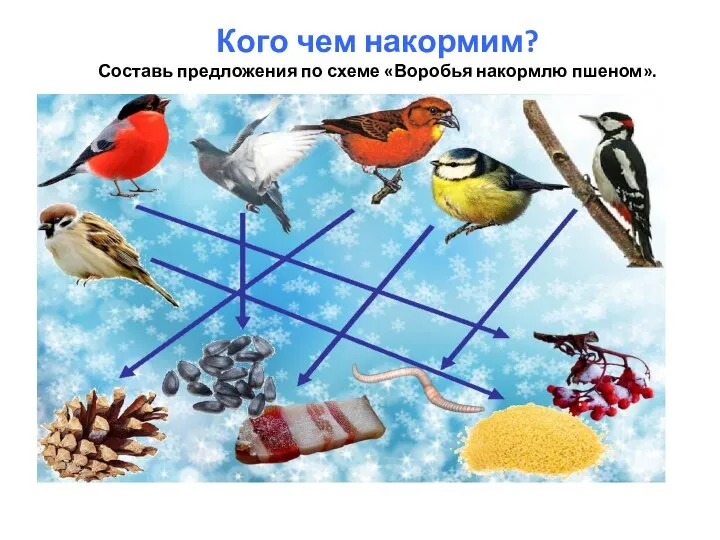 Кого чем накормим? Составь предложения по схеме «Воробья накормлю пшеном».