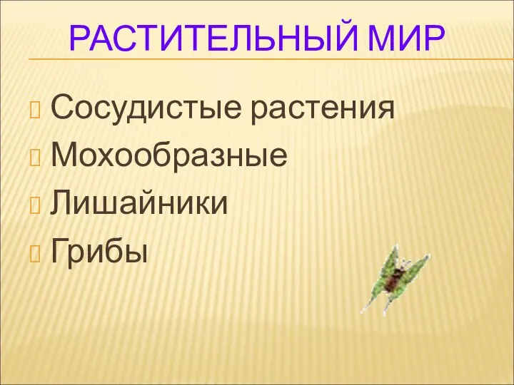 РАСТИТЕЛЬНЫЙ МИР Сосудистые растения Мохообразные Лишайники Грибы