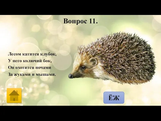 Вопрос 11. Лесом катится клубок, У него колючий бок, Он охотится