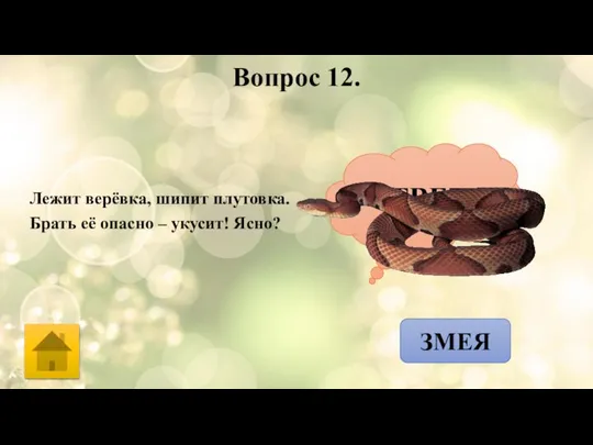 Вопрос 12. Лежит верёвка, шипит плутовка. Брать её опасно – укусит! Ясно? ОТВЕТ