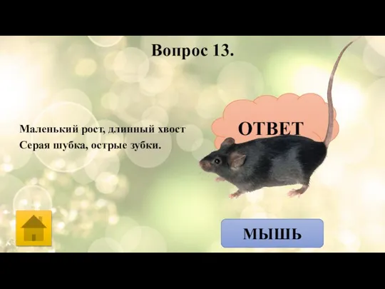 Вопрос 13. Маленький рост, длинный хвост Серая шубка, острые зубки. ОТВЕТ