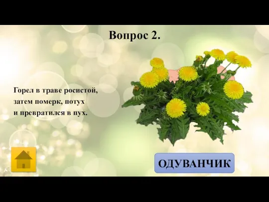 Вопрос 2. Горел в траве росистой, затем померк, потух и превратился в пух. ОТВЕТ