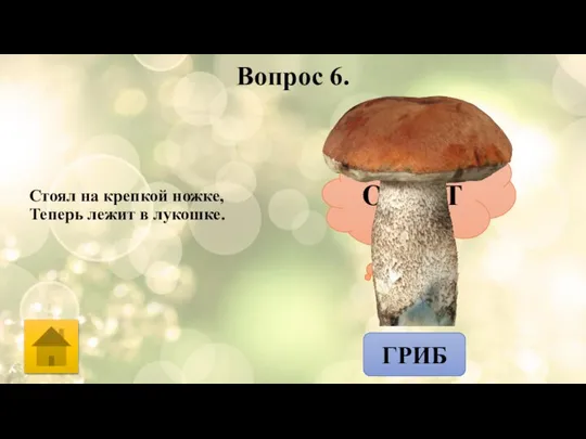 Вопрос 6. Стоял на крепкой ножке, Теперь лежит в лукошке. ОТВЕТ