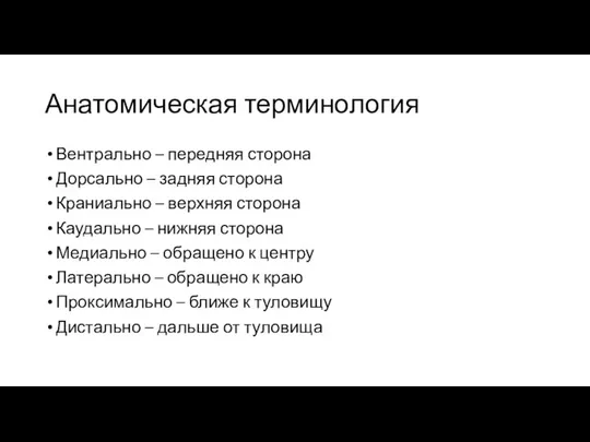 Анатомическая терминология Вентрально – передняя сторона Дорсально – задняя сторона Краниально