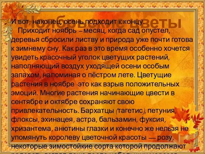 Ноябрьские цветы И вот, наконец, осень подходит к концу. Приходит ноябрь