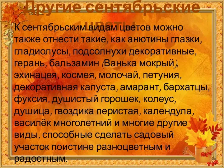 Другие сентябрьские цветы. К сентябрьским видам цветов можно также отнести такие,