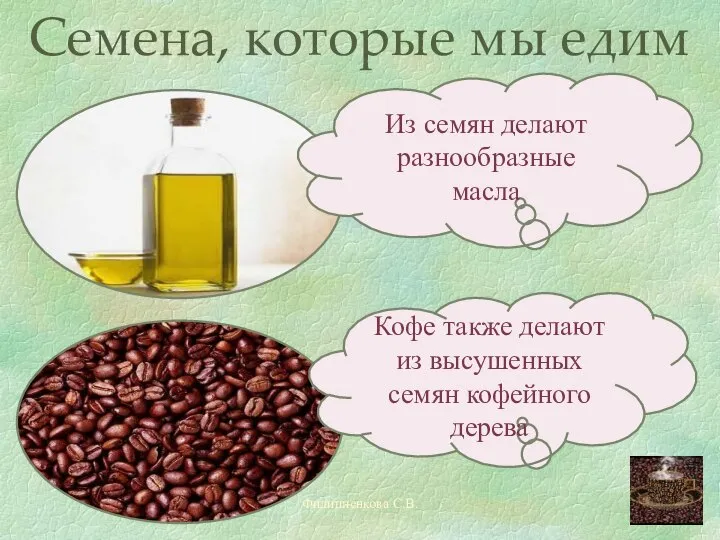 Филиппенкова С.В. Семена, которые мы едим Из семян делают разнообразные масла
