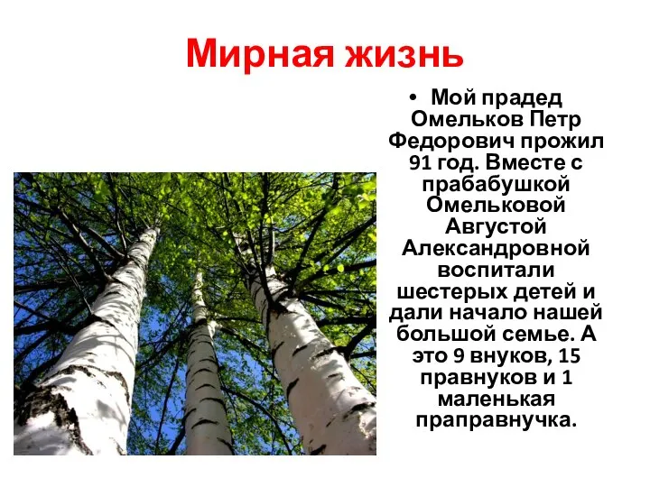 Мирная жизнь Мой прадед Омельков Петр Федорович прожил 91 год. Вместе