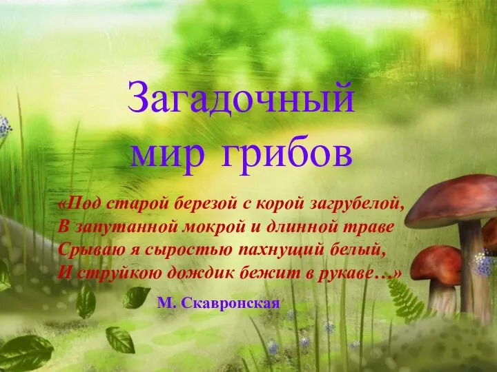 Загадочный мир грибов «Под старой березой с корой загрубелой, В запутанной