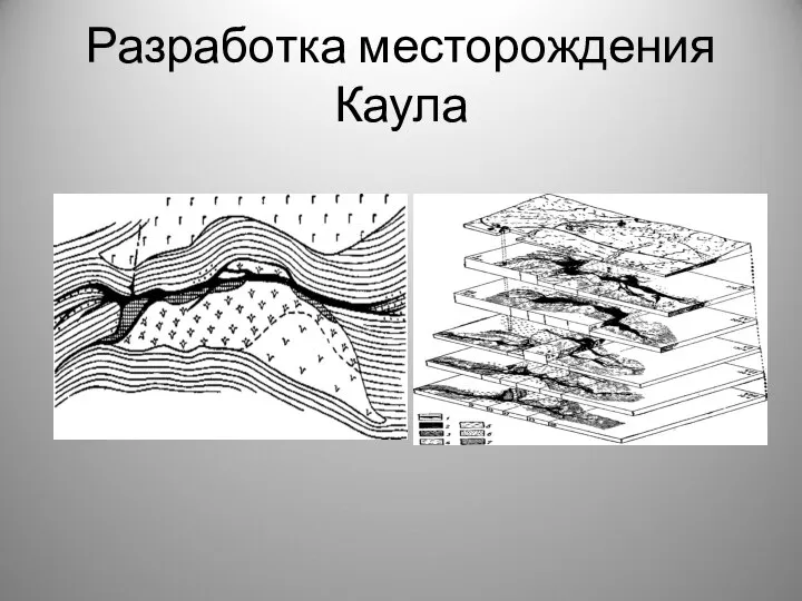 Разработка месторождения Каула