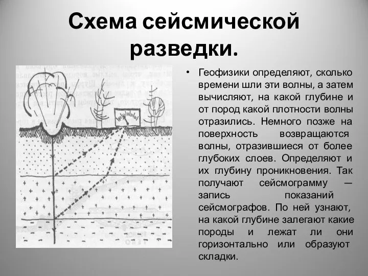 Схема сейсмической разведки. Геофизики определяют, сколько времени шли эти волны, а