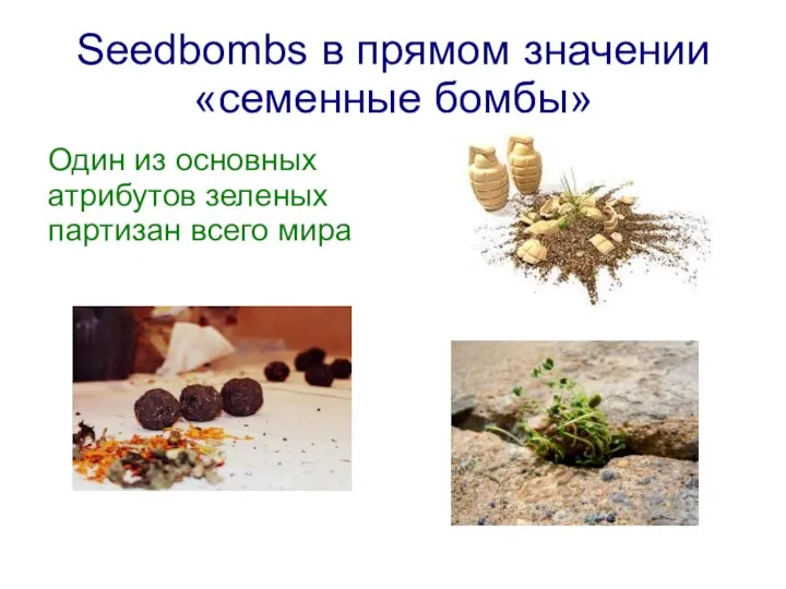 Seedbombs в прямом значении «семенные бомбы» Один из основных атрибутов зеленых партизан всего мира