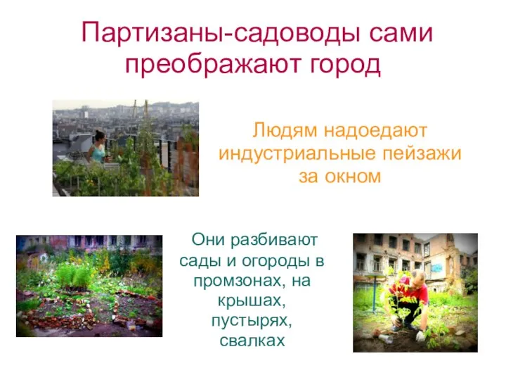 Партизаны-садоводы сами преображают город Они разбивают сады и огороды в промзонах,