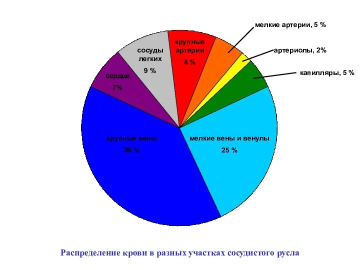 мелкие вены и венулы 25 % крупные вены 39 % сердце