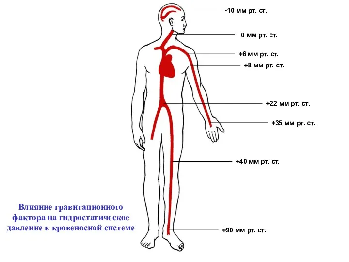 -10 мм рт. ст. 0 мм рт. ст. +6 мм рт.