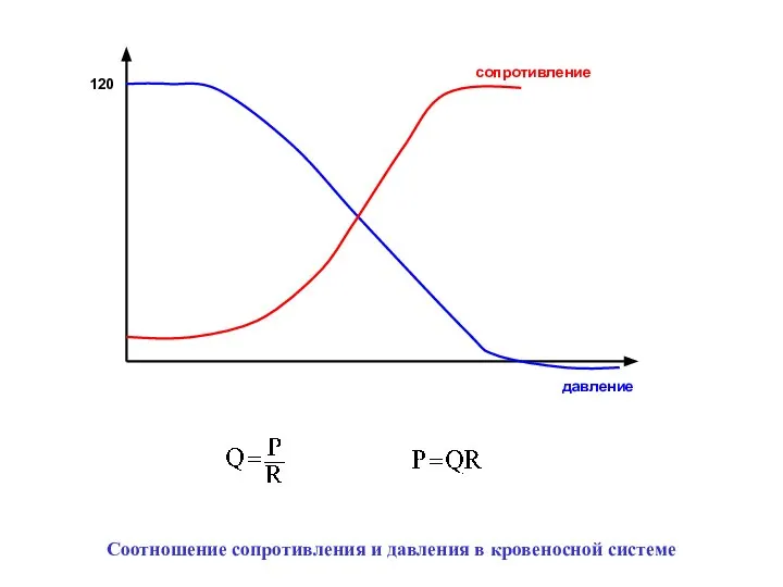 120 сопротивление давление Соотношение сопротивления и давления в кровеносной системе