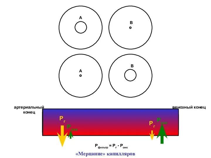 А В А В артериальный конец венозный конец Рфильтр = Рг