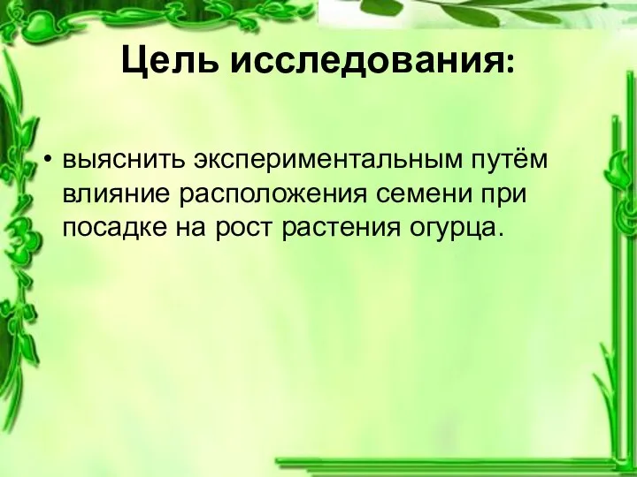 Цель исследования: выяснить экспериментальным путём влияние расположения семени при посадке на рост растения огурца.