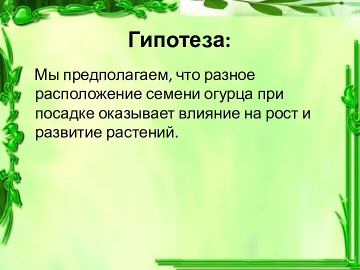 Гипотеза: Мы предполагаем, что разное расположение семени огурца при посадке оказывает