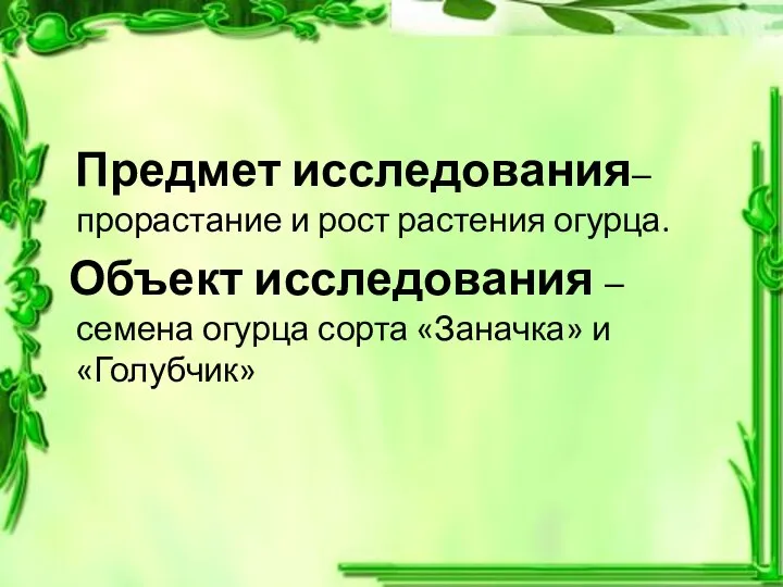 Предмет исследования–прорастание и рост растения огурца. Объект исследования – семена огурца сорта «Заначка» и «Голубчик»