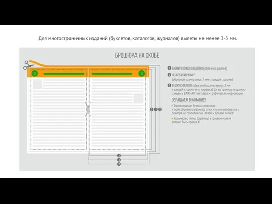 Для многостраничных изданий (буклетов, каталогов, журналов) вылеты не менее 3-5 мм.